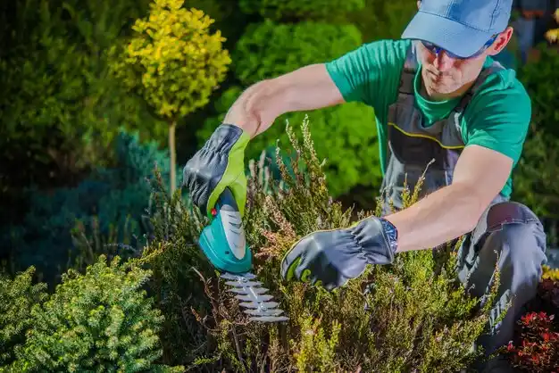 landscaping services Purvis